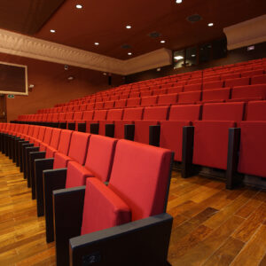 Dossier fauteuil auditorium LIRA